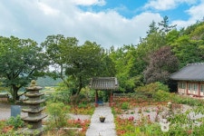 네이버 검색 결과 사진 1