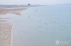 [강화나들길] 11코스 (석모도바람길) (2026) - 인천광역시 강화군 가볼만한곳 - 관광지랭킹