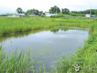 별빛가든 캠핑장 - 캠프위크