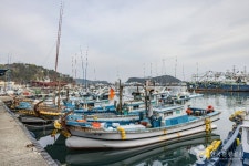 다대포항 관광 정보와 주변 관광 명소 및 근처 맛집 여행 정보