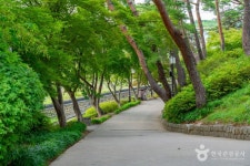 강릉 경포대 관광 정보와 주변 관광 명소 및 근처 맛집 여행 정보