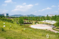 대구 세천늪테마정원 (2026) - 대구광역시 달성군 가볼만한곳 - 관광지랭킹