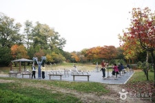 Yongsan Family Park (용산가족공원) - Korea Tour Ranking