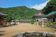 용문사(용문산) - 경기도 양평군 - 가볼만한곳 - 관광지랭킹