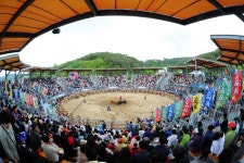 Jinju Bullfighting Arena (진주소싸움경기장) - Korea Tour Ranking