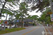 초당순두부마을 관광 정보와 주변 관광 명소 및 근처 맛집 여행 정보