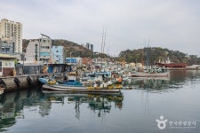 다대포항 관광 정보와 주변 관광 명소 및 근처 맛집 여행 정보