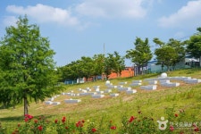 대구 세천늪테마정원 (2026) - 대구광역시 달성군 가볼만한곳 - 관광지랭킹