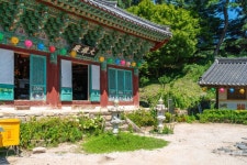 거동사 (2026) - 경상북도 영천시 가볼만한곳 - 관광지랭킹