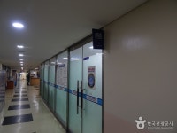 스킨/스쿠버 다이빙 - 서울특별시 송파구 - 가볼만한곳 - 관광지랭킹