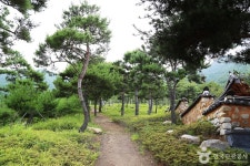 동의보감촌한방자연휴양림 - 경상남도 산청군 - 가볼만한곳 - 관광지랭킹