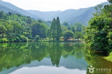 엔학고레 - 충청남도 공주시 - 가볼만한곳 - 관광지랭킹