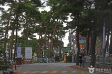 초당순두부마을 관광 정보와 주변 관광 명소 및 근처 맛집 여행 정보