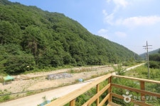 산, 구룡산(강원) - 캠프위크