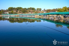 새마을낚시터 - 경기도 포천시 - 가볼만한곳 - 관광지랭킹