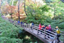 평창동계올림픽대회 및 동계패럴림픽대회 1주년문화행사 2019 - 강원특별자치도 평창군 - 가볼만한곳 - 관광지랭킹