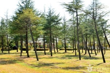 승촌공원 관광 정보와 주변 관광 명소 및 근처 맛집 여행 정보