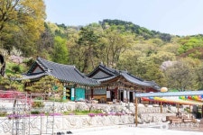 청계사(의왕) 관광 정보와 주변 관광 명소 및 근처 맛집 여행 정보