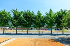 밀양도깨비방망이캠핑장 - 경상남도 밀양시 - 가볼만한곳 - 관광지랭킹