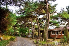 보광산관광농원 (2026) - 충청북도 괴산군 가볼만한곳 - 관광지랭킹