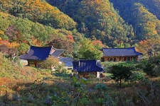 영원사(원주) 관광 정보와 주변 관광 명소 및 근처 맛집 여행 정보