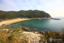 방죽포해변 - 캠프위크