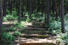 문수산산림욕장 - 경기도 김포시 - 가볼만한곳 - 관광지랭킹