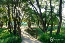 독립기념관 캠핑장 - 충청남도 천안시 동남구 - 가볼만한곳 - 관광지랭킹