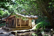 Gangjin Night Dream (강진 나이트 드림) - Korea Tour Ranking