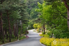 송이밸리자연휴양림 (2026) - 강원특별자치도 양양군 - 가볼만한곳 - 관광지랭킹