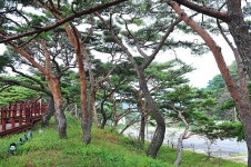 서포리웰빙삼림욕산책로 - 인천광역시 옹진군 - 가볼만한곳 - 관광지랭킹