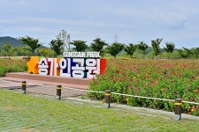장전미술관 (구, 남진미술관) - 전라남도 진도군 - 가볼만한곳 - 관광지랭킹