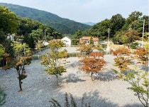 운악184 오토캠핑 글램핑장 - 경기도 포천시 - 가볼만한곳 - 관광지랭킹
