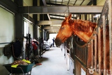รูปภาพผลการค้นหา Naver 1