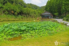 화인산림욕장 (2026) - 충청북도 옥천군 가볼만한곳 - 관광지랭킹