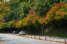 รูปภาพผลการค้นหา Naver 6