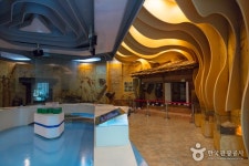 송이밸리자연휴양림 - 강원특별자치도 양양군 - 가볼만한곳 - 관광지랭킹