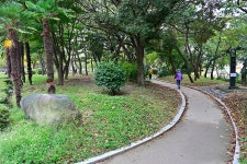 네이버 검색 결과 사진 4