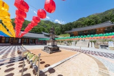 삼화사 - 강원특별자치도 동해시 - 가볼만한곳 - 관광지랭킹