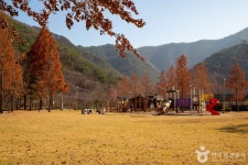 상소동 산림욕장 (2026) - 대전광역시 동구 가볼만한곳 - 관광지랭킹