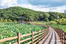 문성지 (2026) - 경상북도 구미시 가볼만한곳 - 관광지랭킹