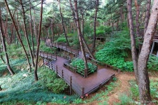 거창 항노화힐링랜드 관광 정보와 주변 관광 명소 및 근처 맛집 여행 정보