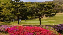 팔공컨트리클럽 레저스포츠 정보와 주변 관광 명소 및 근처 맛집 여행 정보