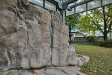 Goryeong Janggi-ri Rock Art (고령 장기리 암각화) - Korea Tour Ranking