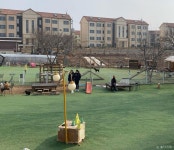 놀다가개 - 경기도 평택시 - 가볼만한곳 - 관광지랭킹
