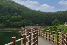 축령산 휴양림 - 전라남도 장성군 - 가볼만한곳 - 관광지랭킹