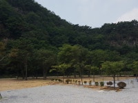 솔밭캠프 (2026) - 충청북도 괴산군 가볼만한곳 - 관광지랭킹
