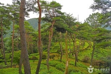 조산공원 (2026) - 충청북도 충주시 가볼만한곳 - 관광지랭킹