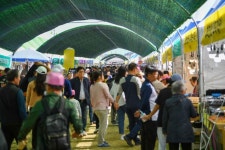 경북영주 풍기인삼축제 - 경상북도 영주시 - 가볼만한곳 - 관광지랭킹
