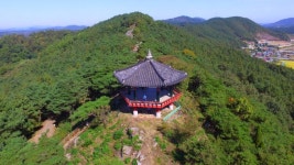 청양 고추 구기자 축제 (2026) - 충청남도 청양군 가볼만한곳 - 관광지랭킹